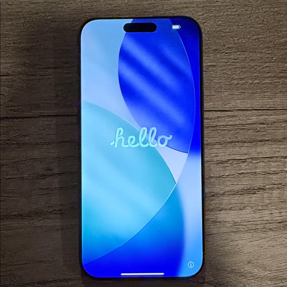 IPhone 16 Pro Max. Perfect gift for the holiday season:)